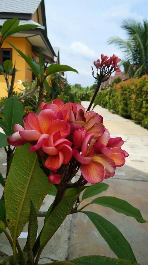 Baan Mek Lom Hotell Khao Lak Eksteriør bilde